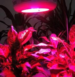 90W-gu Hydroponics และพืชสวนและเรือนกระจกไฟ LED เติบโตสำหรับพืชในร่ม