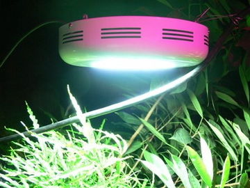 90W-gu Hydroponics และพืชสวนและเรือนกระจกไฟ LED เติบโตสำหรับพืชในร่ม