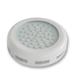 พืชพลังงานสูงแสงไฟ LED เติบโต 3watt มิตรกับสิ่งแวดล้อม 85 - 265V CRI&gt; 80