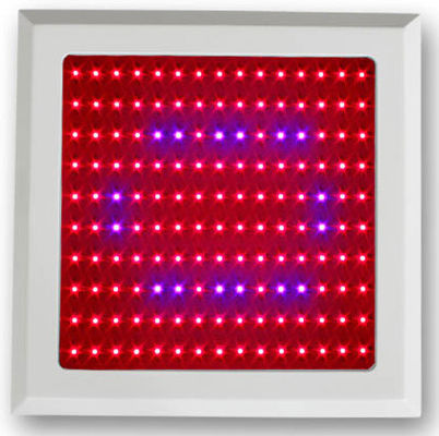 150W พืชแสงไฟ LED เติบโตแดงน้ำเงินคลื่นความถี่สำหรับผักและหลั่งจี๊ดพฤกษศาสตร์