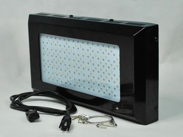 สีแดงเข้มสูงและโรงไฟ LED สีฟ้า Grow Ligh 3watt ผักในร่มสวนแสง