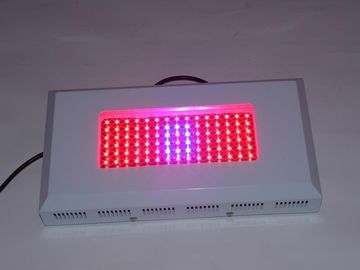 พลังงานสูงไฮโดรโปนิ LED เติบโต Lightst 1 วัตต์ AC 85 ~ 264V, เรือนกระจกเติบโตไฟ