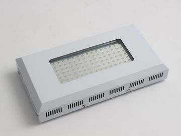 โคมไฟสูงผลพืชแสงไฟ LED เติบโต 90W, สีน้ำเงินและสีแดงไฟ LED สำหรับการเจริญเติบโต