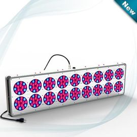 สีน้ำเงินสีแดง Hydroponics แสงไฟ LED เติบโต 630nm / 460nm 612W ~ 644W DC 32 ~ 45V โรงงานโคมไฟ LED เติบโต