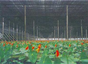 เกษตรเรือนกระจก Shade ตาข่าย 2 x 100, 30gsm - 300gsm