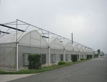 4000mm ส่วนฟิล์มพลาสติกโรงเรือนพาณิชย์ 8000mm ช่วง