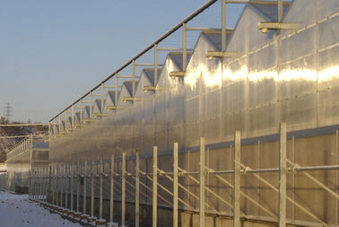 4000mm พาณิชย์มาตรา Venlo เรือนกระจกโพลีคาร์บอเนต 2/3 สันเขาต่อช่วง 9600mm ช่วง