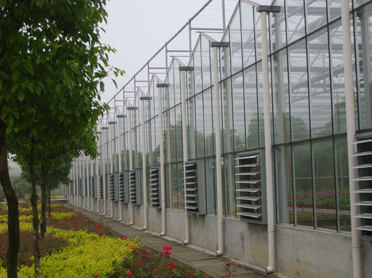 12000mm ช่วงแก้วเรือนพาณิชย์ 4000mm ส่วน Venlo เรือนกระจก