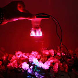 800lm 380nm - 730nm เรือนกระจกดอกแสงไฟ LED เติบโต IP44 สำหรับในร่ม