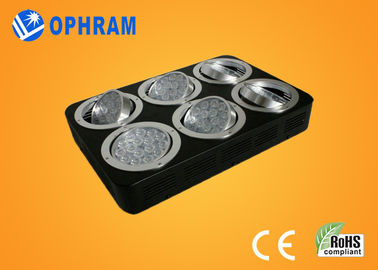 พลังงานสูง IP20 เต็มสเปกตรัม LED เติบโตไฟสำหรับต้นกล้า / ใบ