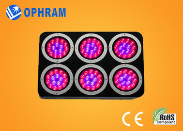 พลังงานสูง IP20 เต็มสเปกตรัม LED เติบโตไฟสำหรับต้นกล้า / ใบ