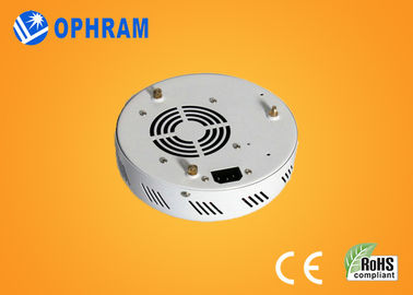 เอพิสตา IP20 50W เต็มสเปกตรัม LED เติบโตไฟสำหรับดอกไม้ AC85-265V