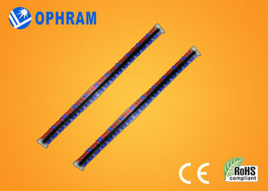ความสว่างสูง IP65 เอพิสตาสีแดงและสีน้ำเงิน LED เติบโตไฟกับ CE / RoHS