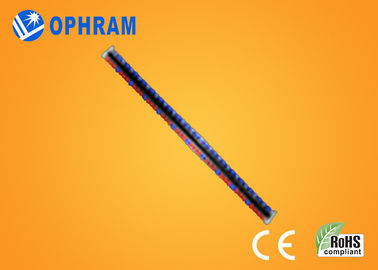 ความสว่างสูง IP65 เอพิสตาสีแดงและสีน้ำเงิน LED เติบโตไฟกับ CE / RoHS
