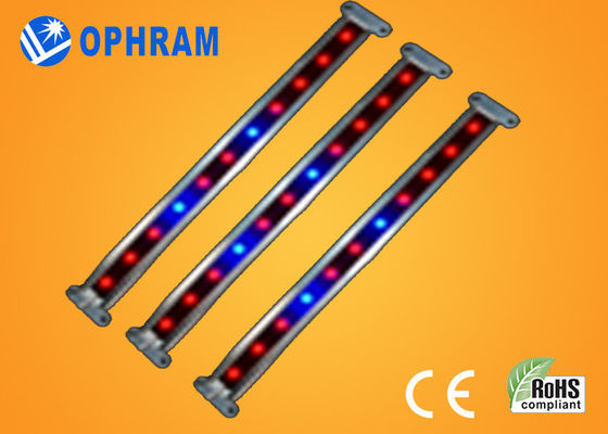 10W SMD 2835 ผัก / ดอก LED เติบโตไฟ 180 °มุมยิงแสง