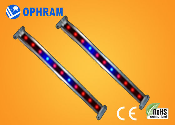 10W SMD 2835 ผัก / ดอก LED เติบโตไฟ 180 °มุมยิงแสง