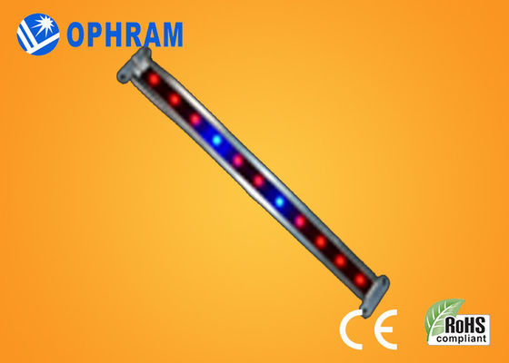 10W SMD 2835 ผัก / ดอก LED เติบโตไฟ 180 °มุมยิงแสง
