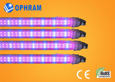 50Hz / 60Hz 230V / 240V เต็มสเปกตรัม LED เติบโตไฟสำหรับผัก