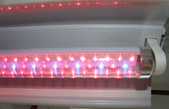 G13 พืช LED เติบโตไฟสีแดงและสีน้ำเงินไฮโดรโปนิเกษตรเรือนกระจก