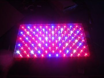 120W เรือนกระจกพลังงานสูงแสงไฟ LED เติบโต